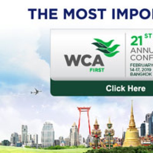 WCA WORLD WIDE 11TH ANNUAL CONFERENCE